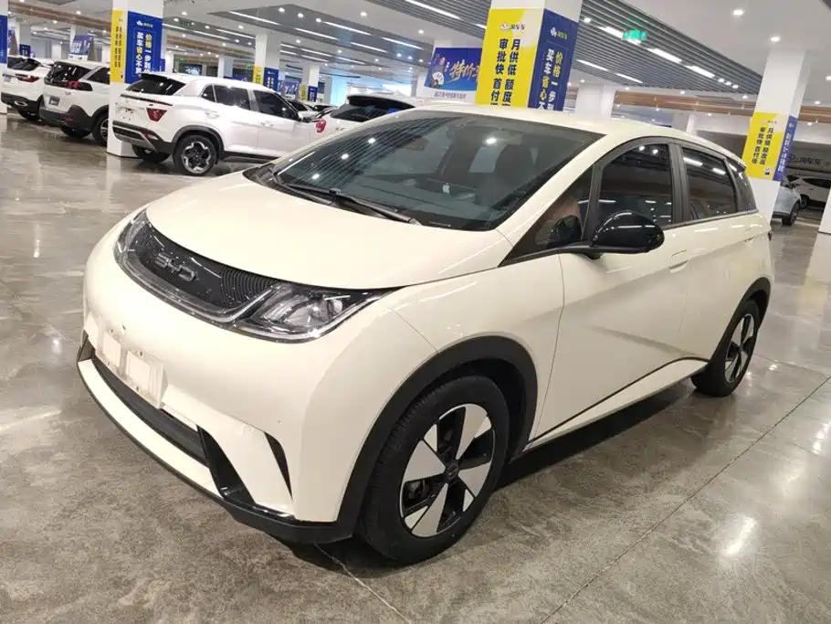 BYD Dolphin