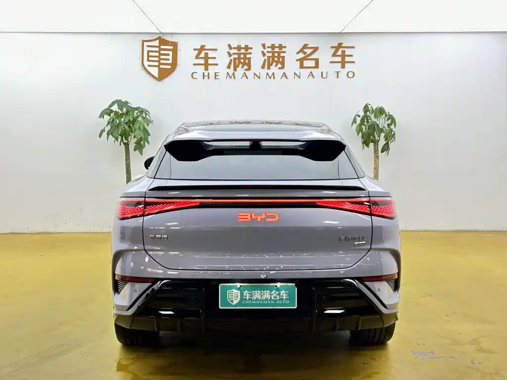 BYD Sealion 07 EV — миниатюра 10