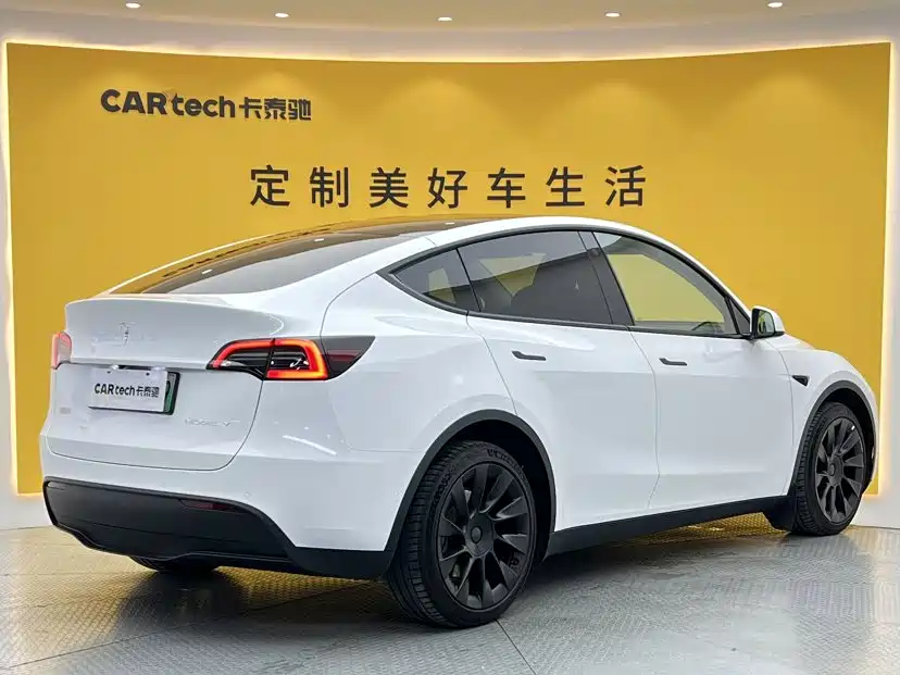 Tesla Model Y — миниатюра 3