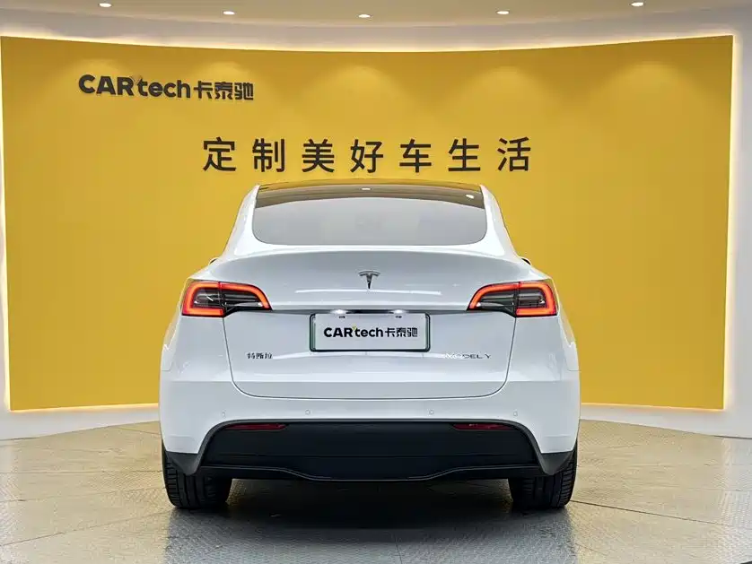 Tesla Model Y — миниатюра 4