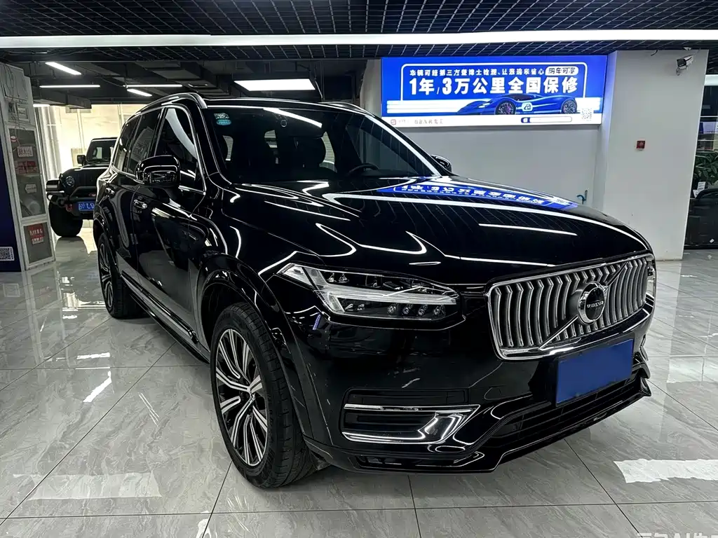 Volvo XC90 — миниатюра 3