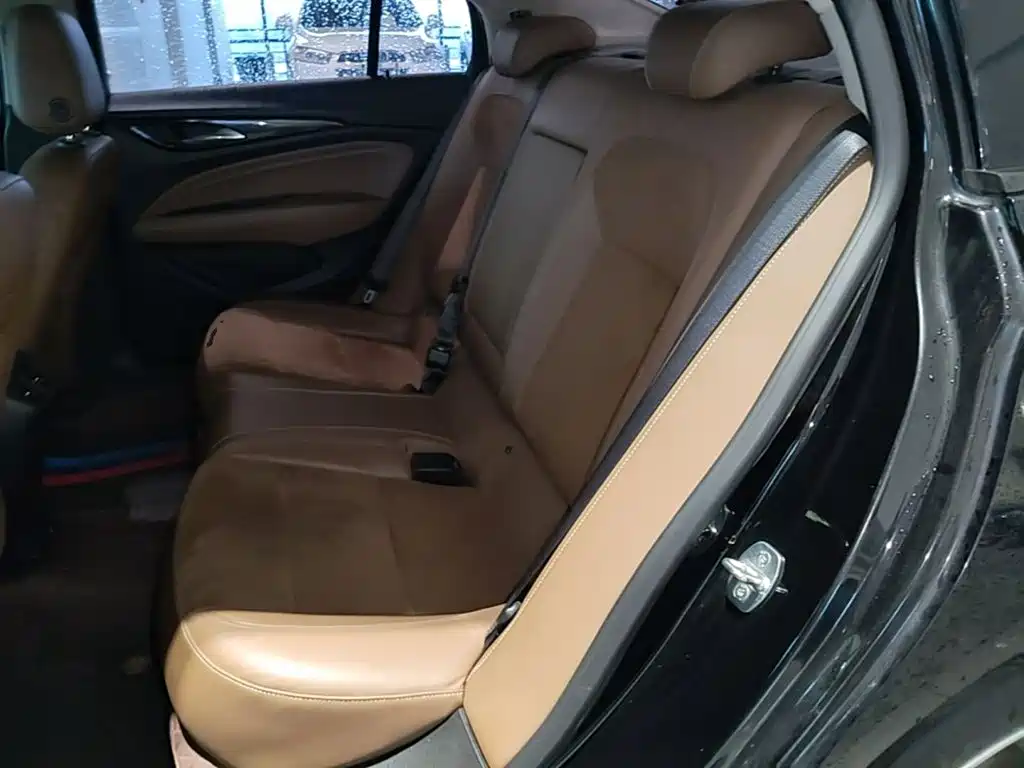 Buick Regal — миниатюра 17