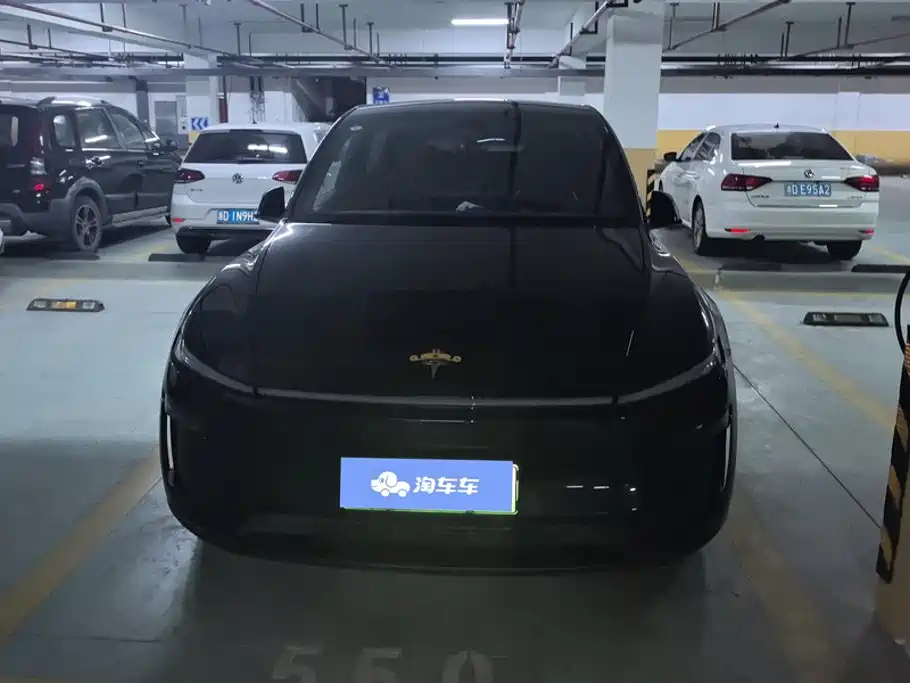 Tesla Model Y — миниатюра 2