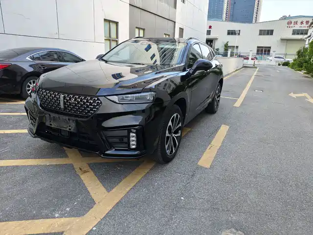 WEI PAI WEI BRAND VV7 2019