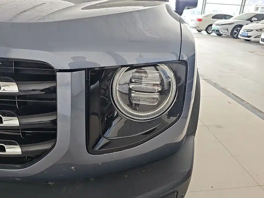 Haval 长城大狗 — миниатюра 5