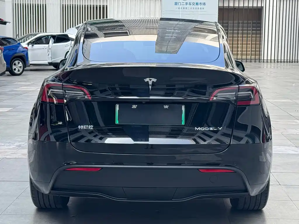 Tesla Model Y — миниатюра 13