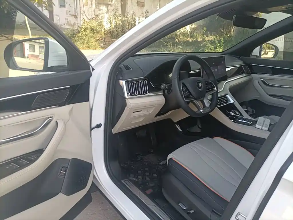 BYD PLUS New Energy — миниатюра 16