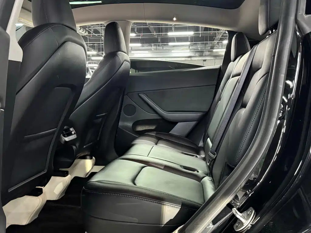 Tesla Model Y — миниатюра 14