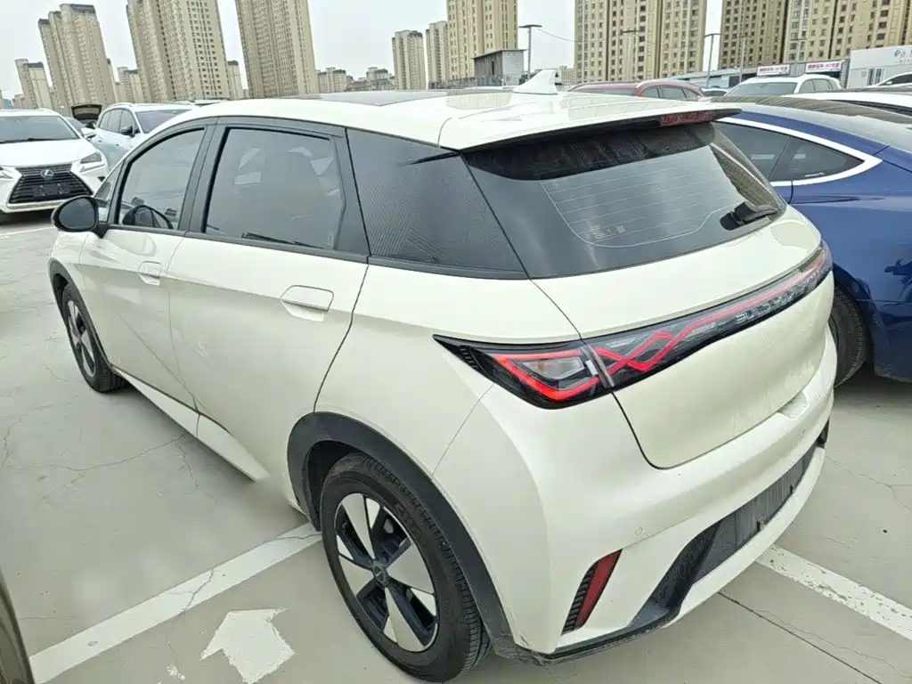 BYD Dolphin — миниатюра 5