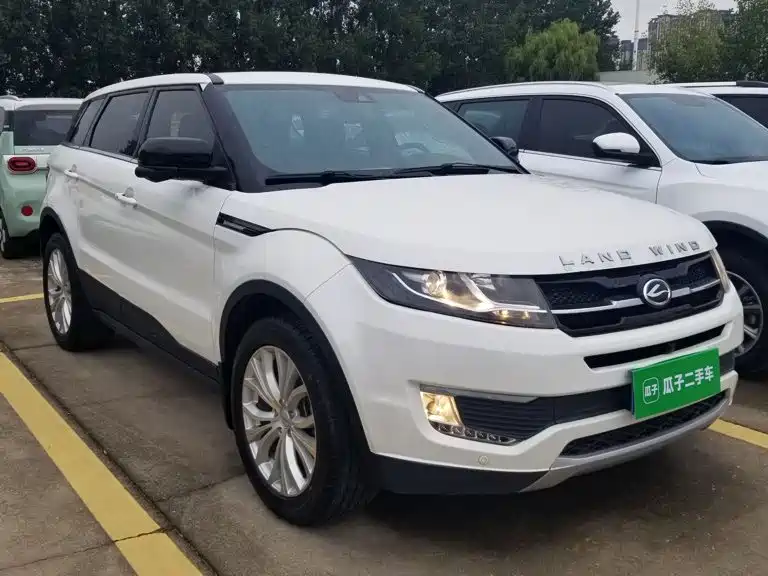 Landwind Landwind X7 — миниатюра 4
