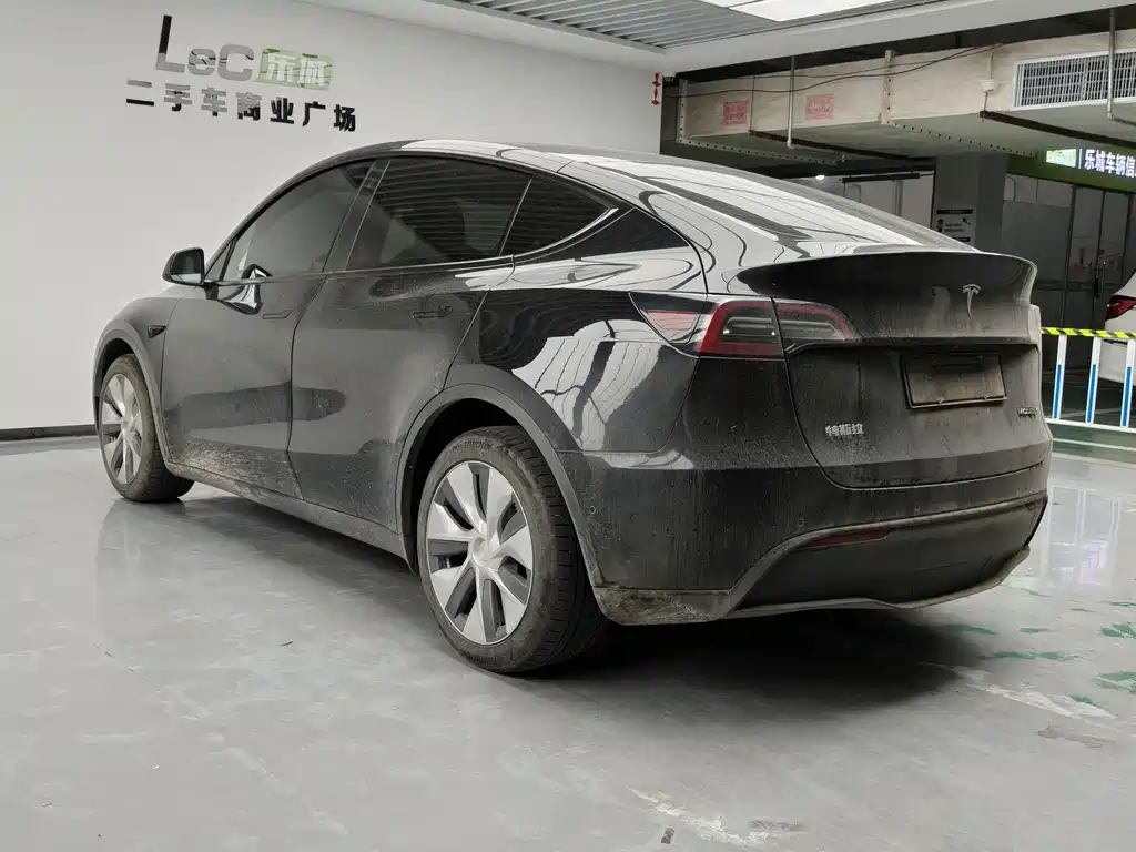 Tesla Model Y — миниатюра 6