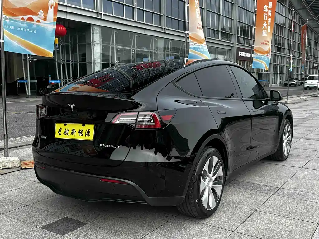 Tesla Model Y — миниатюра 7
