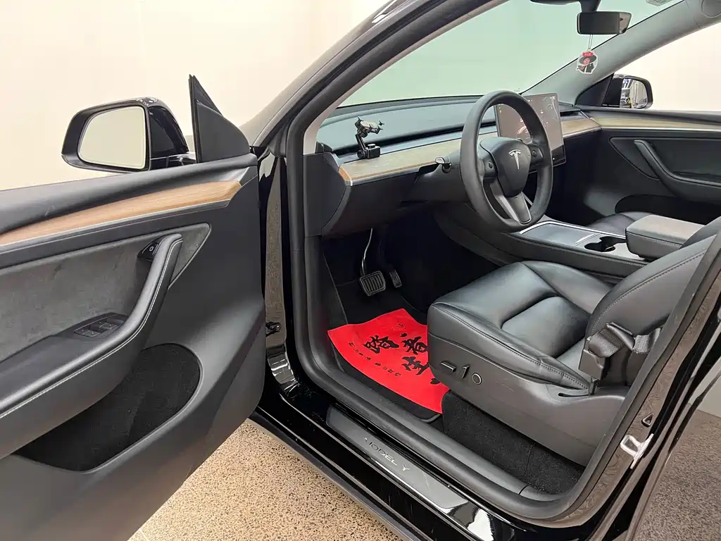 Tesla Model Y — миниатюра 14