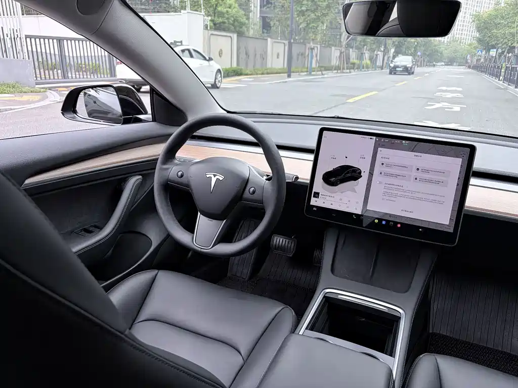 Tesla Model 3 — миниатюра 16