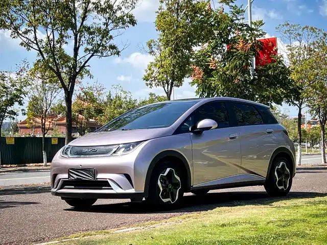 BYD Dolphin