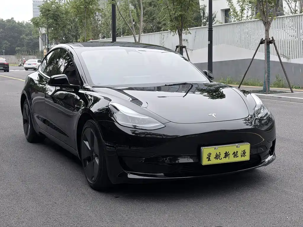 Tesla Model 3 — миниатюра 4