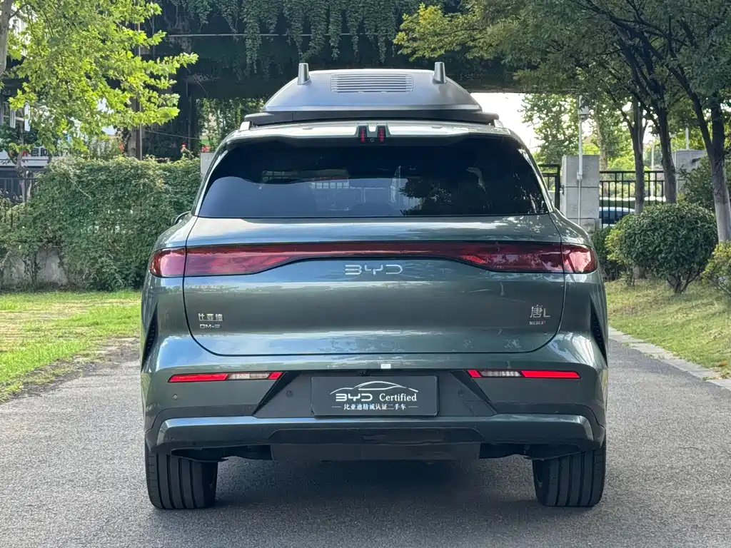 BYD Дон Л. — миниатюра 16