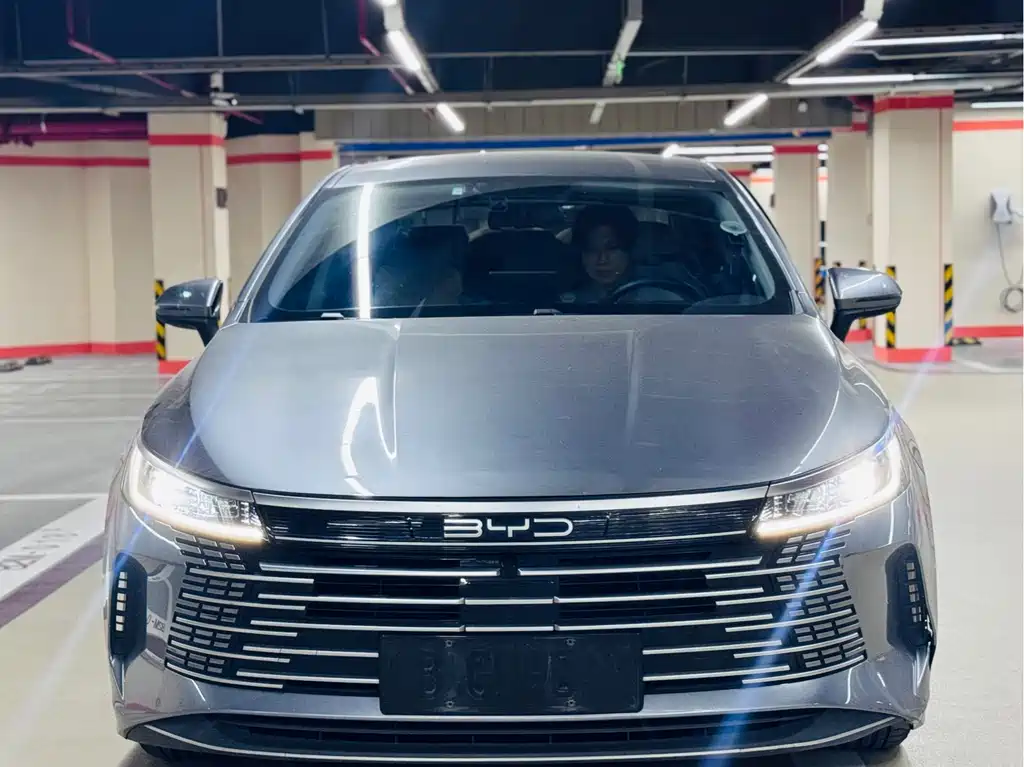 BYD Destroyer 05 — миниатюра 15