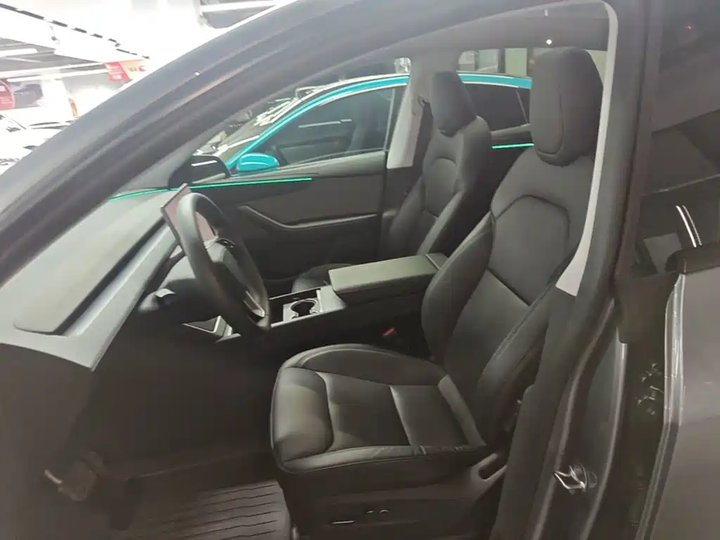 Tesla Model Y — миниатюра 15