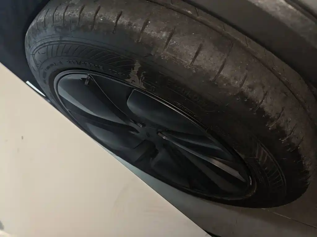 Tesla Model Y — миниатюра 23