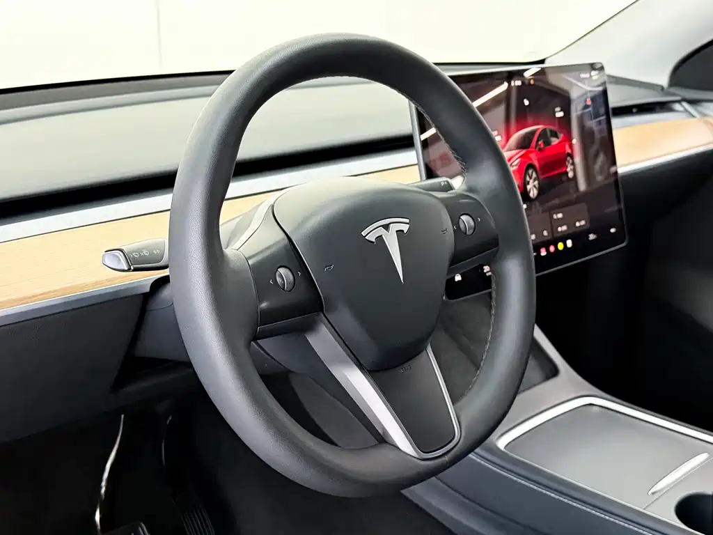 Tesla Model Y — миниатюра 15