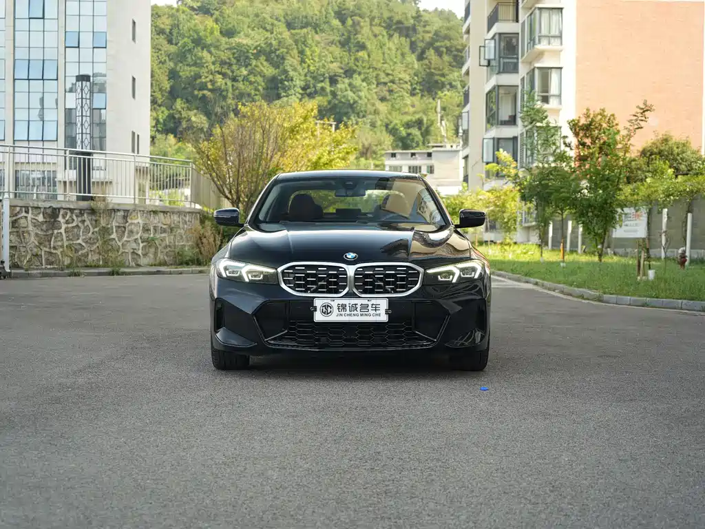 BMW 3 Series — миниатюра 2
