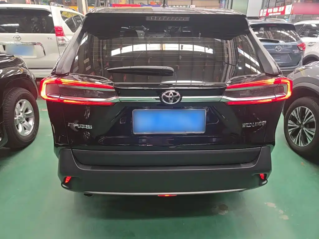 Toyota Wildlander — миниатюра 6