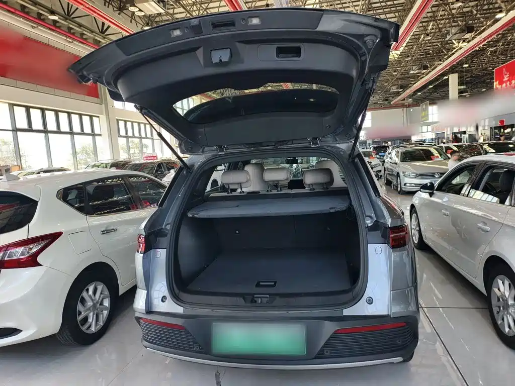 BYD Pro New Energy — миниатюра 16