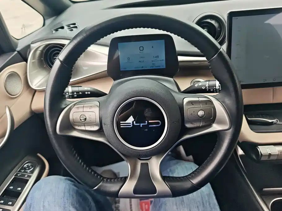 BYD Dolphin — миниатюра 15