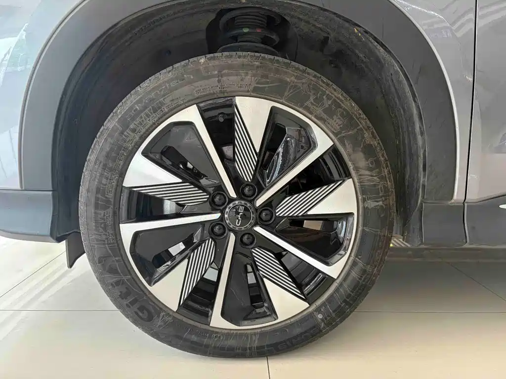 BYD PLUS New Energy — миниатюра 5
