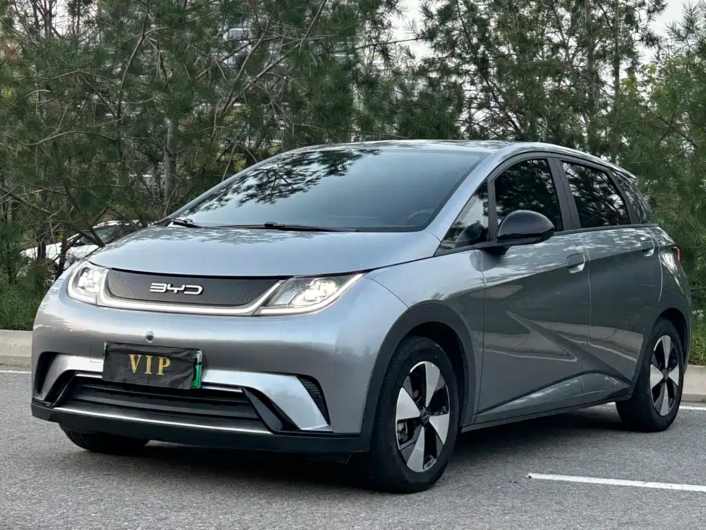 BYD Dolphin — миниатюра 12
