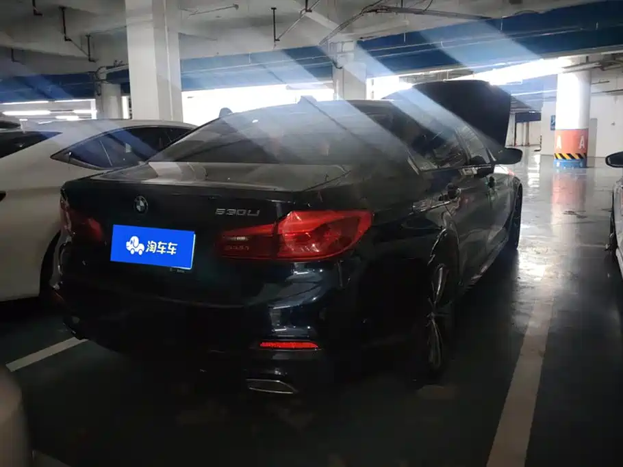 BMW 5 Series 5 2019 530Li xDrive M Sport