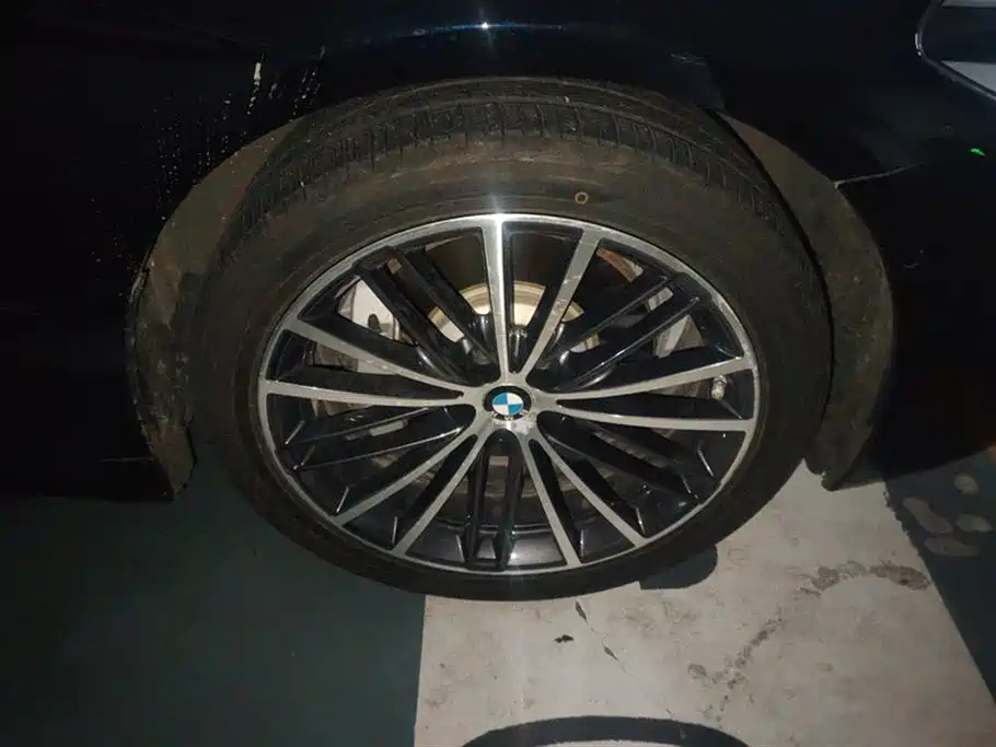 BMW 5 Series 5 2019 530Li xDrive M Sport