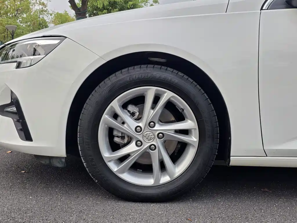 Buick Regal — миниатюра 23