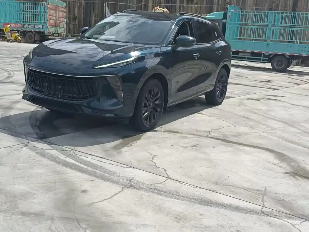 Dongfeng Fengxing T5 EVO 2021 1.5TD DCT Diamond Edition