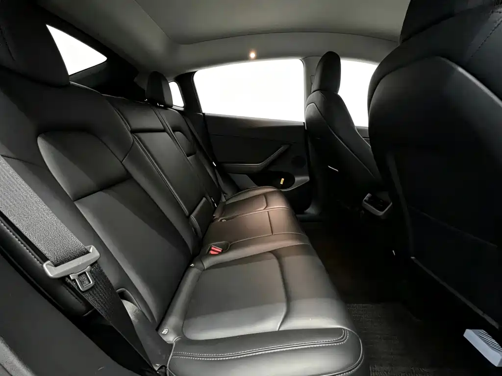 Tesla Model Y — миниатюра 17