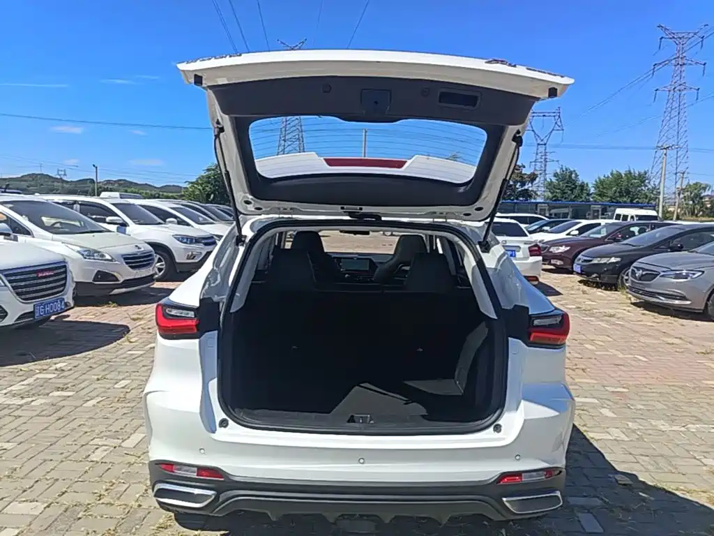 Oshan Oushang X5 — миниатюра 19