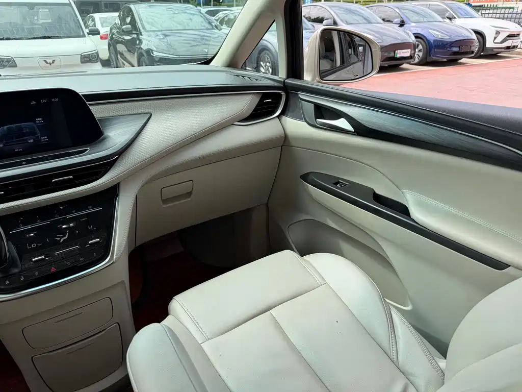 Buick GL8 — миниатюра 10