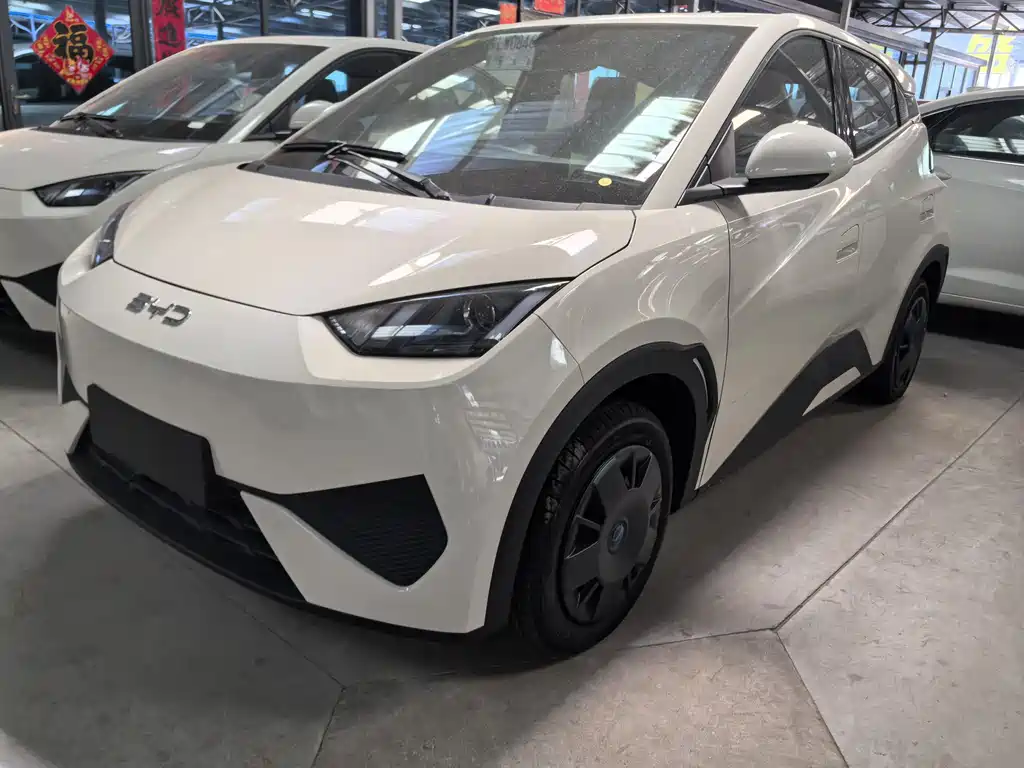 BYD Seagull 2025 305km Vitality Edition