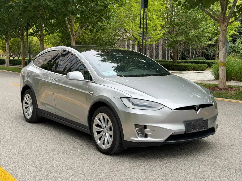 Tesla Model X — миниатюра 3
