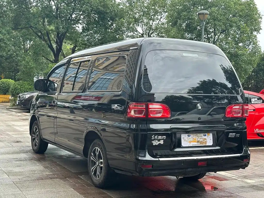 Fengxing Lingzhi — миниатюра 4