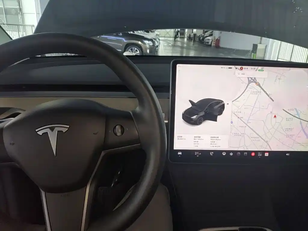 Tesla Model Y — миниатюра 10