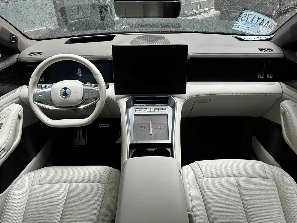 Denza Denza N8L — миниатюра 11