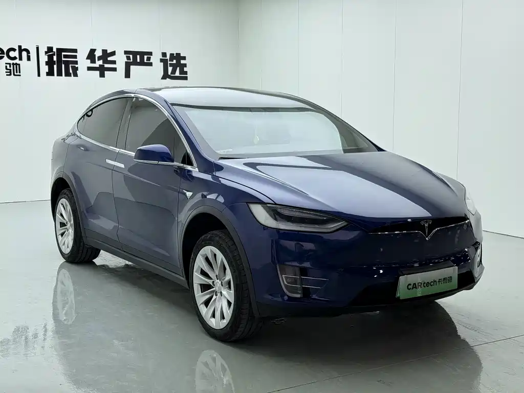 Tesla Model X — миниатюра 3