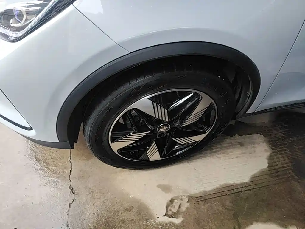 BYD Tang New Energy — миниатюра 23