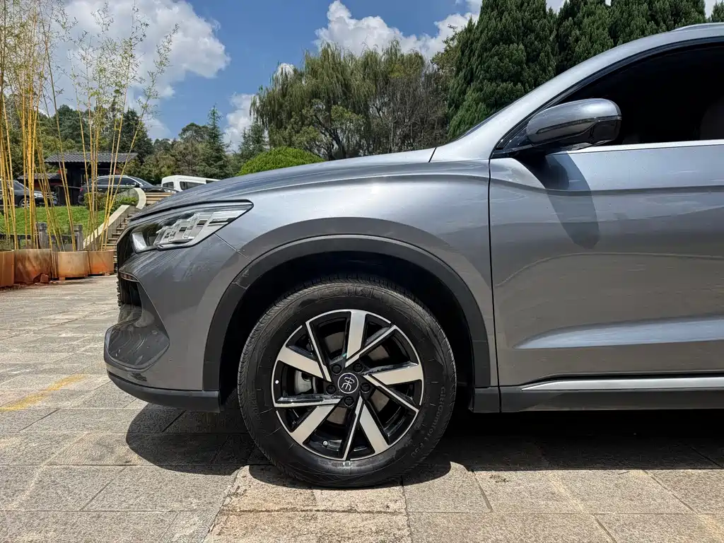 BYD Pro New Energy — миниатюра 10