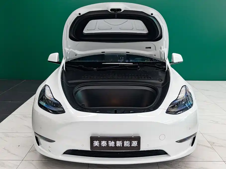 Tesla Model Y — миниатюра 5