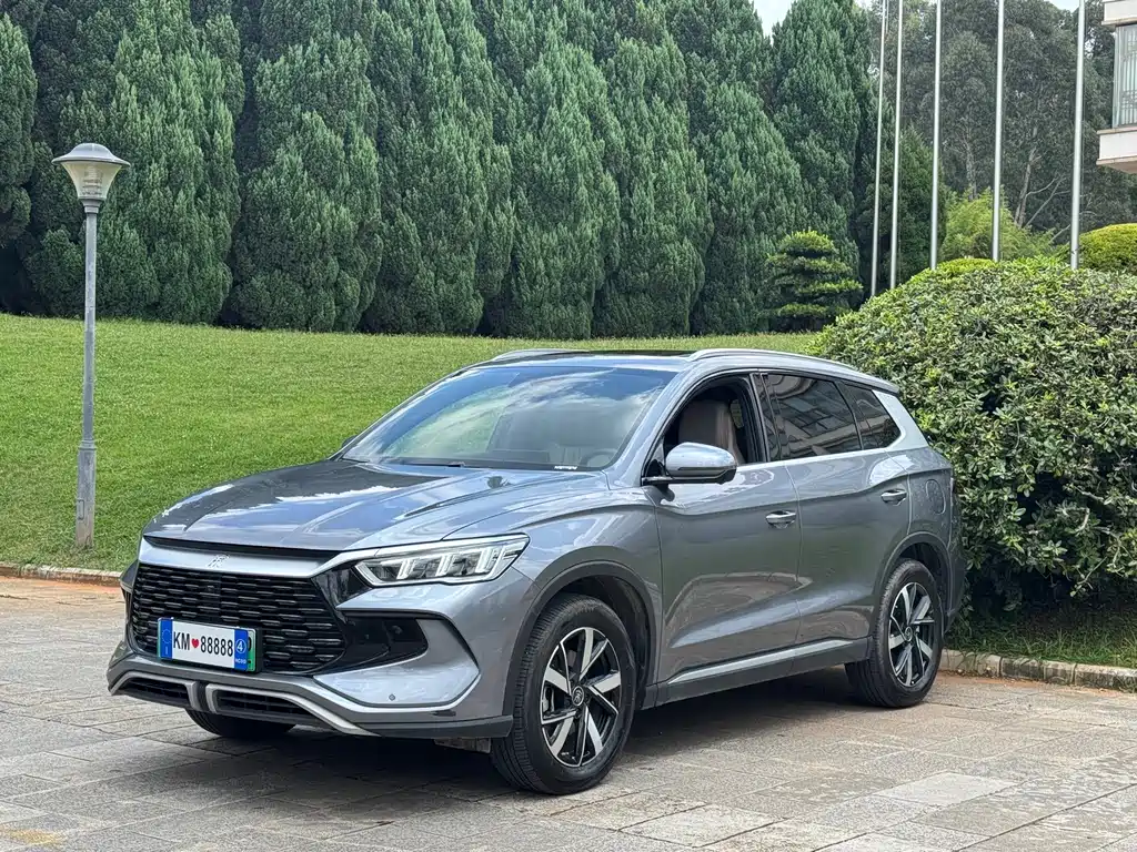BYD Pro New Energy