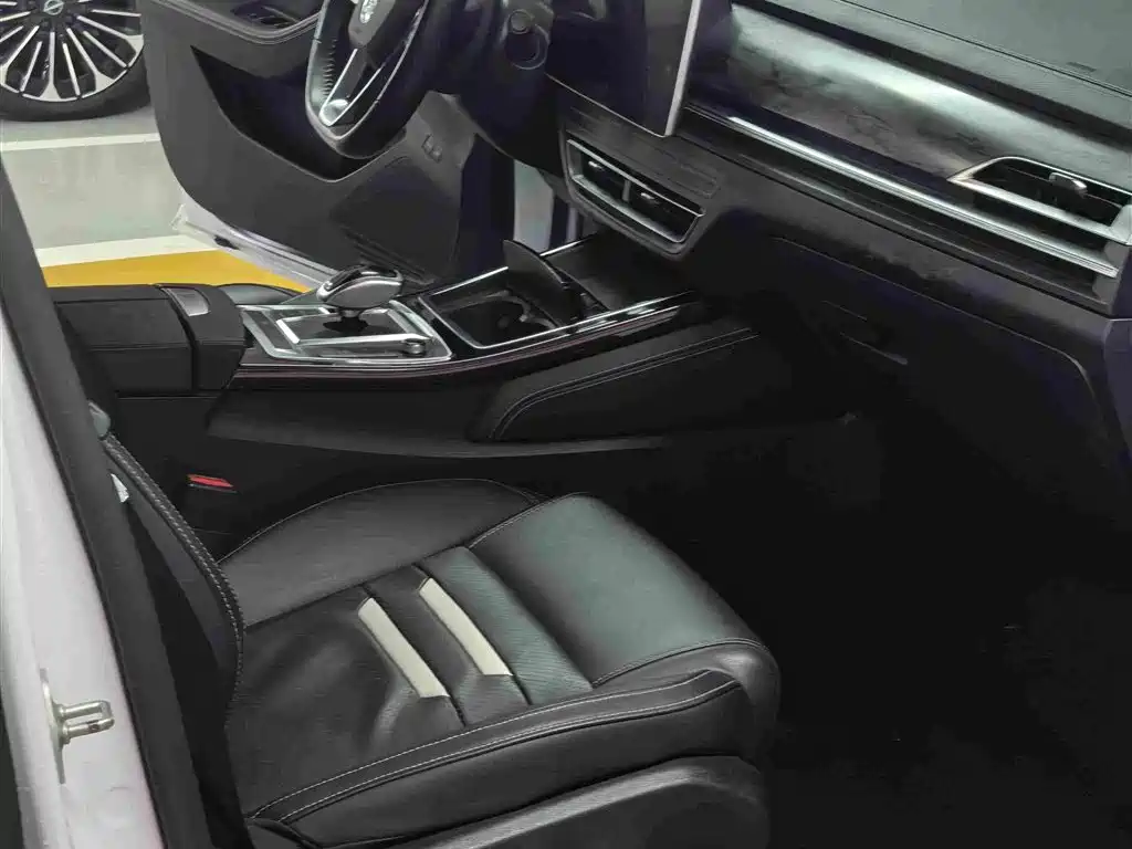 BYD Qin Pro NEV — миниатюра 13