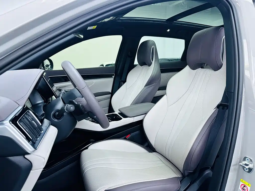 BYD SONGJIANG NEW ENERGY